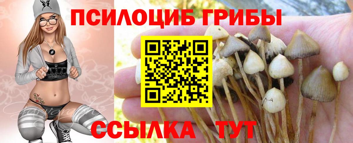 купить закладку  Галлюциногенные грибы GOLDEN TEACHER  Вход с VPN  Алексин 